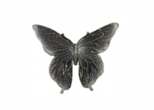 Sommerfugl_stor_Bronse