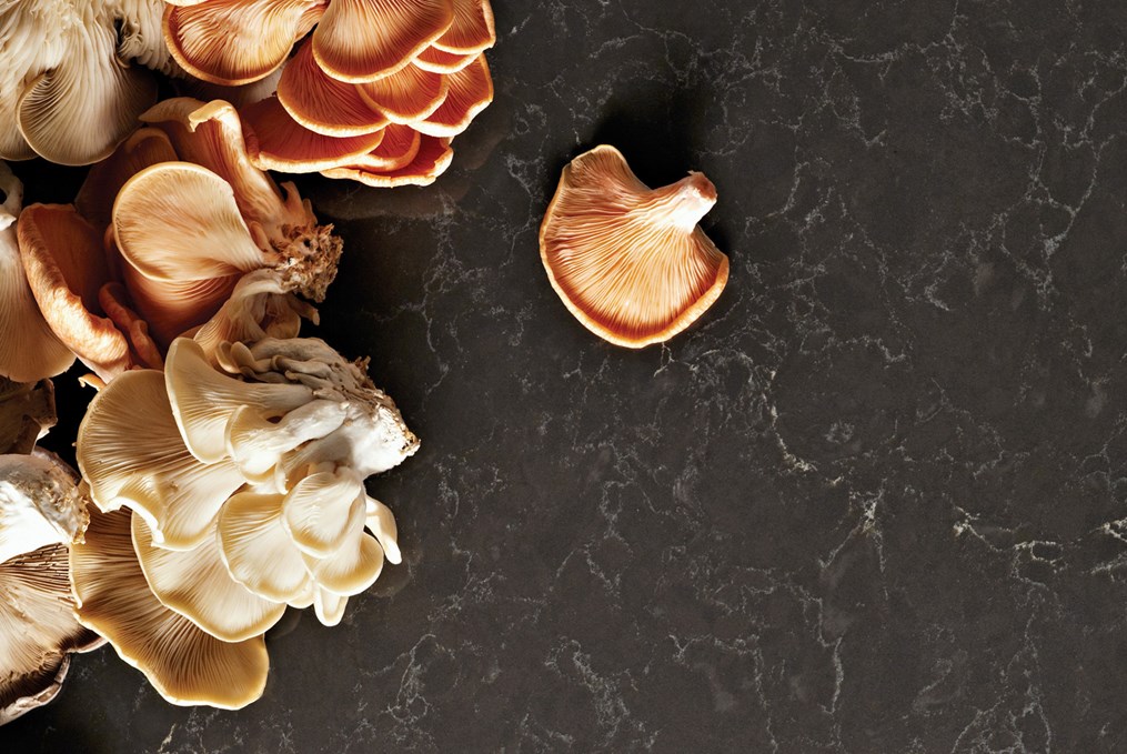 5003_piatra_grey_closeup_3_2400_1080_opt